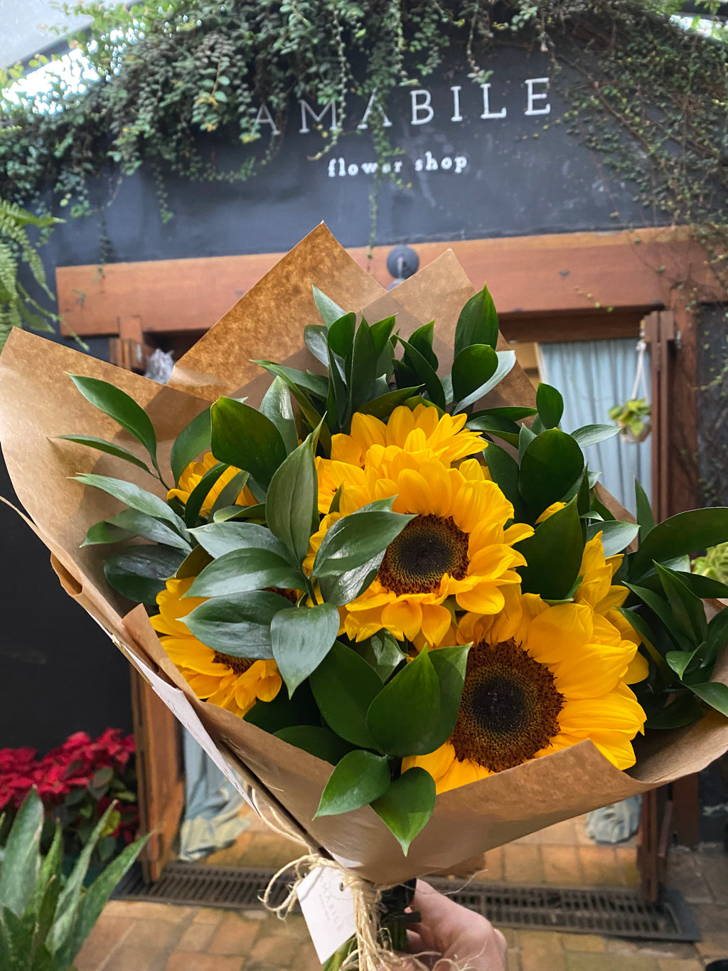 BUQUÊ 10 GIRASSÓIS PREMIUM