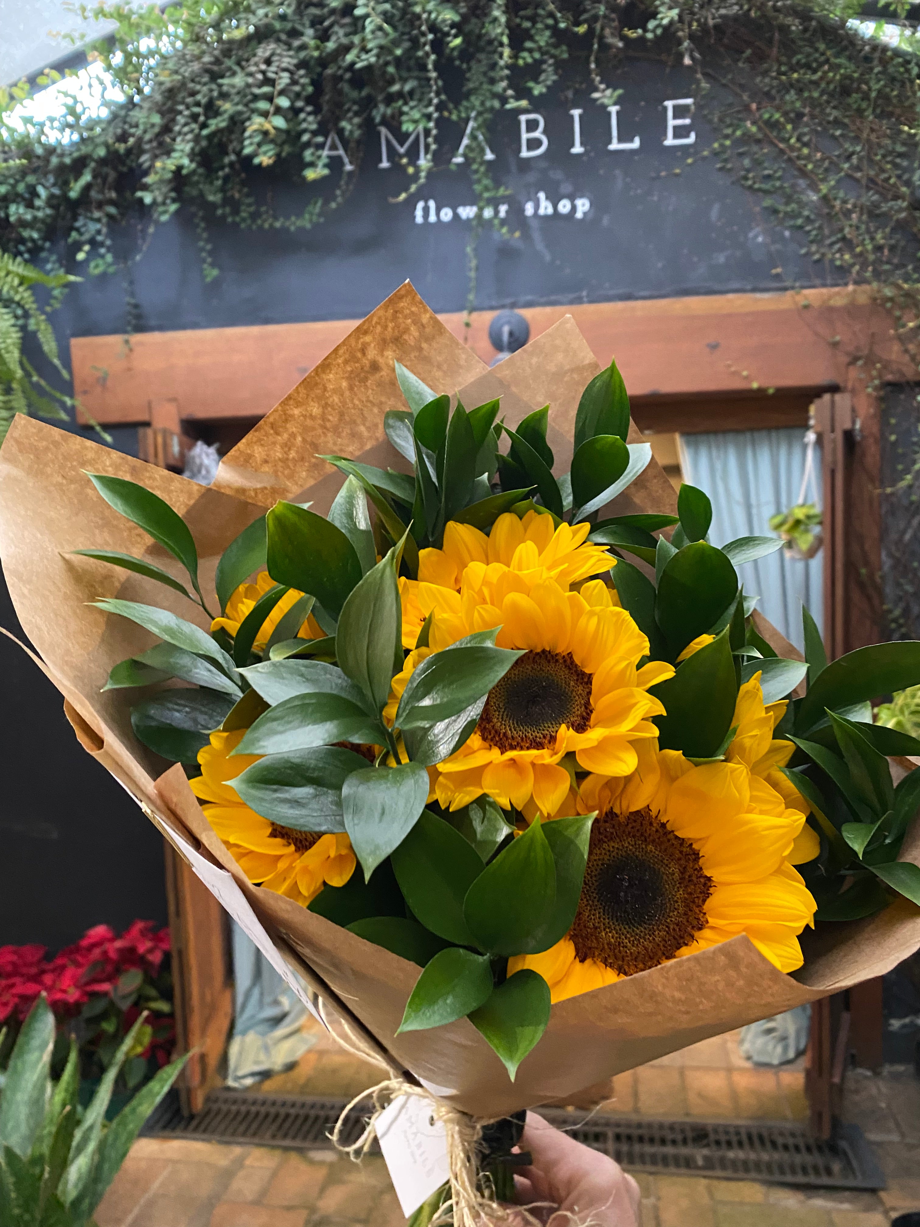 BUQUÊ 10 GIRASSÓIS PREMIUM