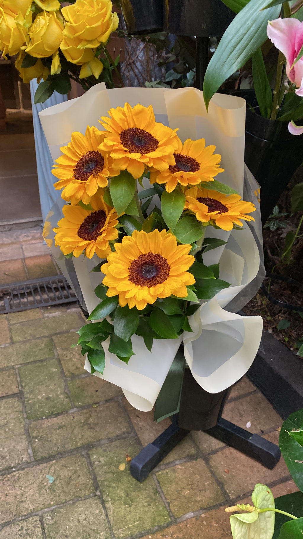 BUQUÊ 10 GIRASSÓIS PREMIUM